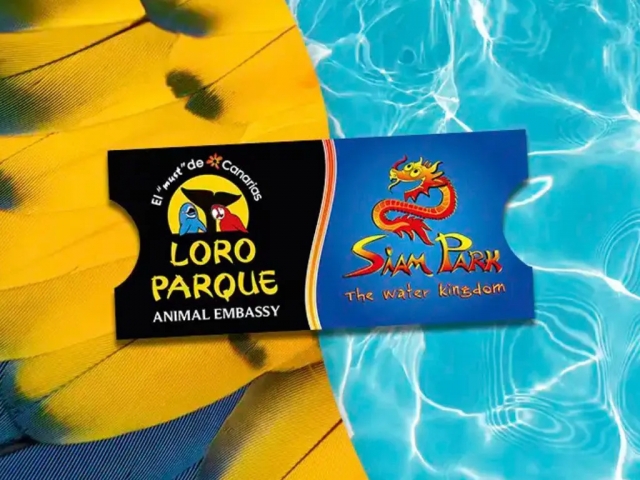 Twin Ticket - Loro&Siam