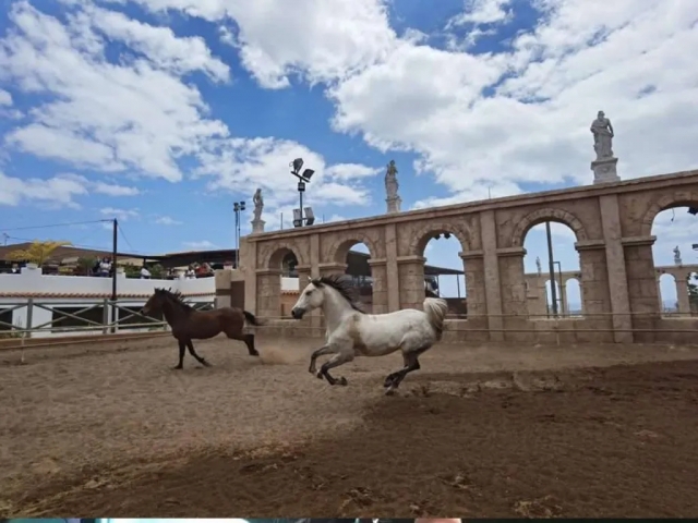 Centro Hípico Xanadú