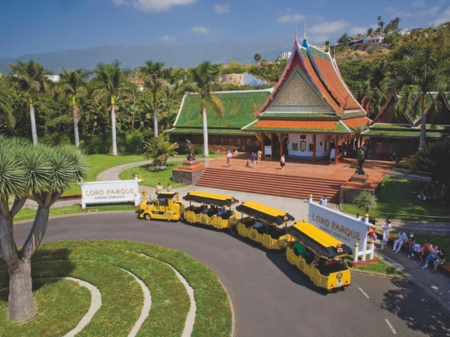 Loro Parque - Entrada All Inclusive