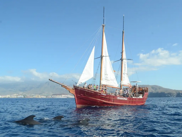 Barco Pirata Peter Pan Tenerife