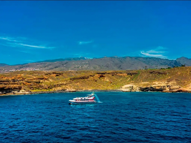 Royal Delfin-Catamarán