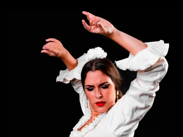 Flamenco Show Sala Coliseo
